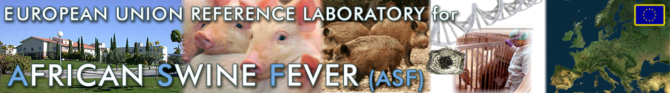 ASF Referece Lab for Europe