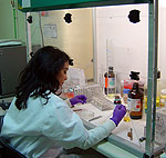 Working in the ASF-EU-Referencelab