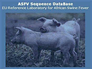 Access to the ASFV Sequence DataBase.